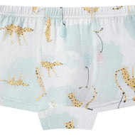 NEST DESIGNS BAMBOO BOYS BOXER BRIEFS UNDERWEAR (2 PACK) PRAIRIE FUN