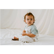 NEST DESIGNS RAGLAN BAMBOO PIMA SHORT SLEEVE SLEEP SUIT 0.6 TOG THE ANT & THE GRASSHOPPER