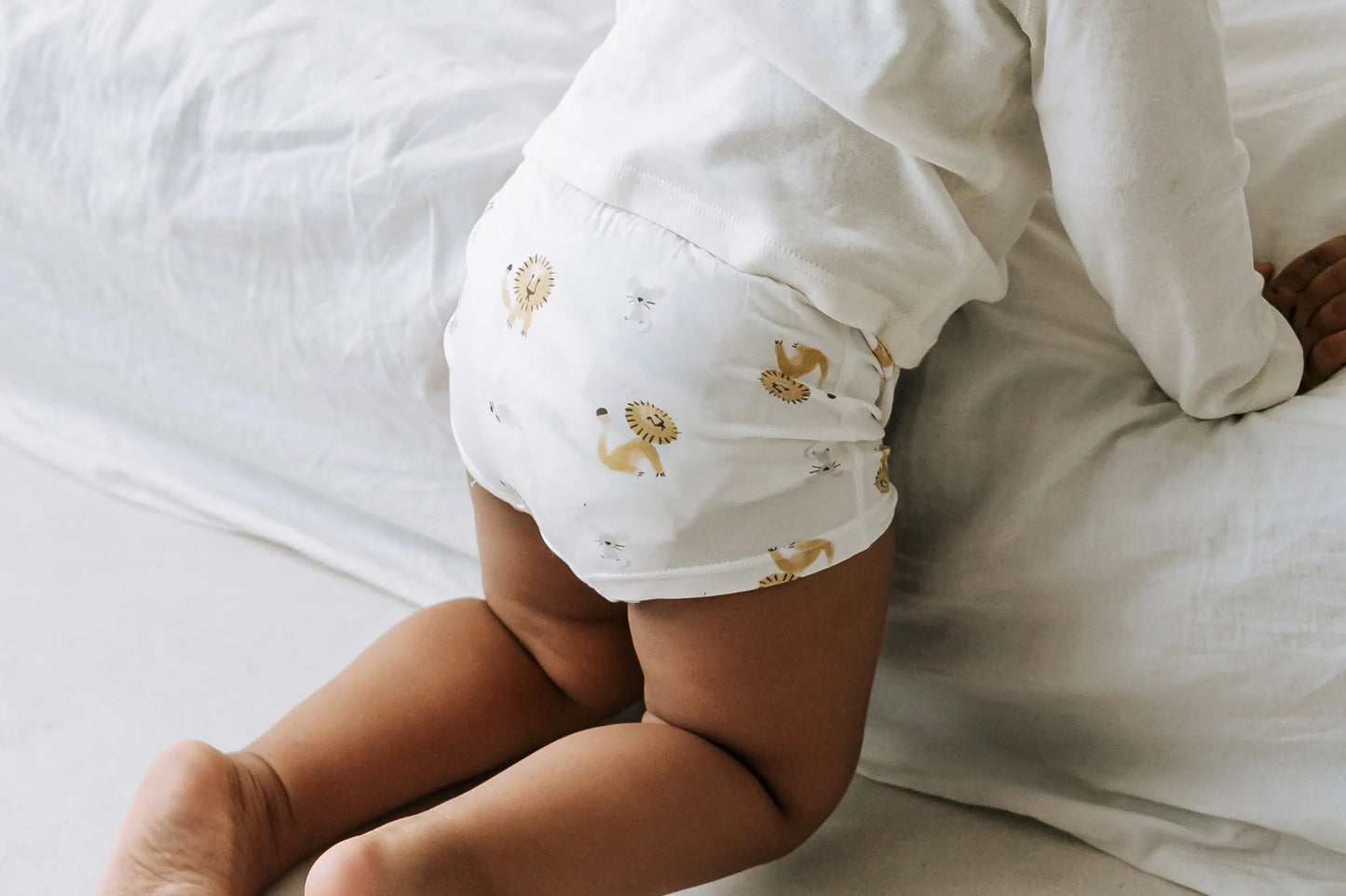 NEST DESIGN BAMBOO BOYS BOXER BRIEFS UNDERWEAR (2 PACK) LION & GOOSE - baby enRoute