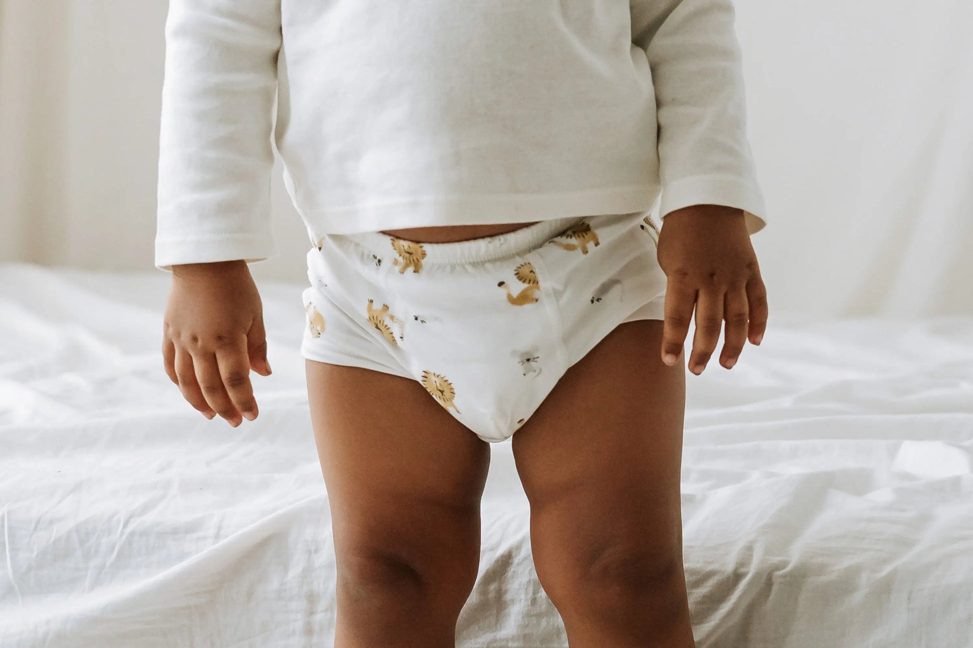 Nest Design Bamboo Boys Boxer Briefs Underwear (2 Pack) Lion & Goose