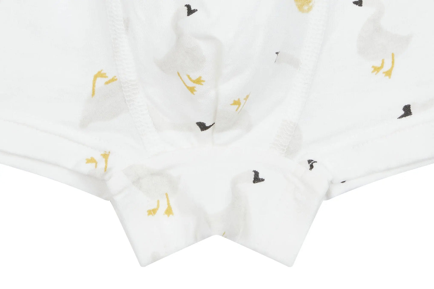 NEST DESIGN BAMBOO BOYS BOXER BRIEFS UNDERWEAR (2 PACK) LION & GOOSE - baby enRoute