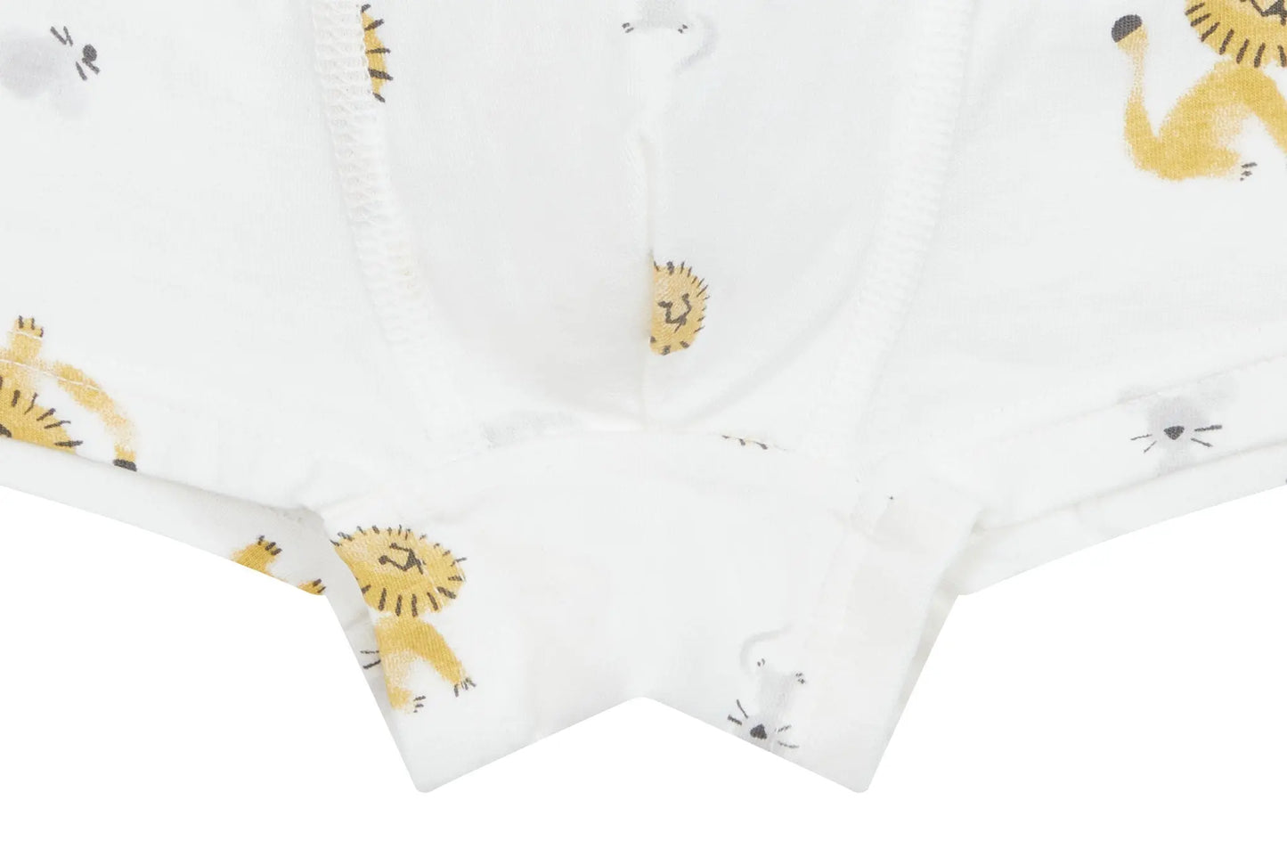 NEST DESIGN BAMBOO BOYS BOXER BRIEFS UNDERWEAR (2 PACK) LION & GOOSE - baby enRoute
