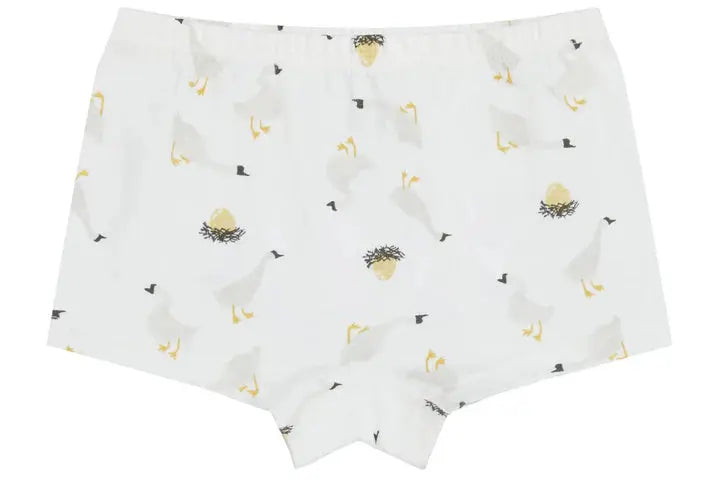 NEST DESIGN BAMBOO BOYS BOXER BRIEFS UNDERWEAR (2 PACK) LION & GOOSE - baby enRoute