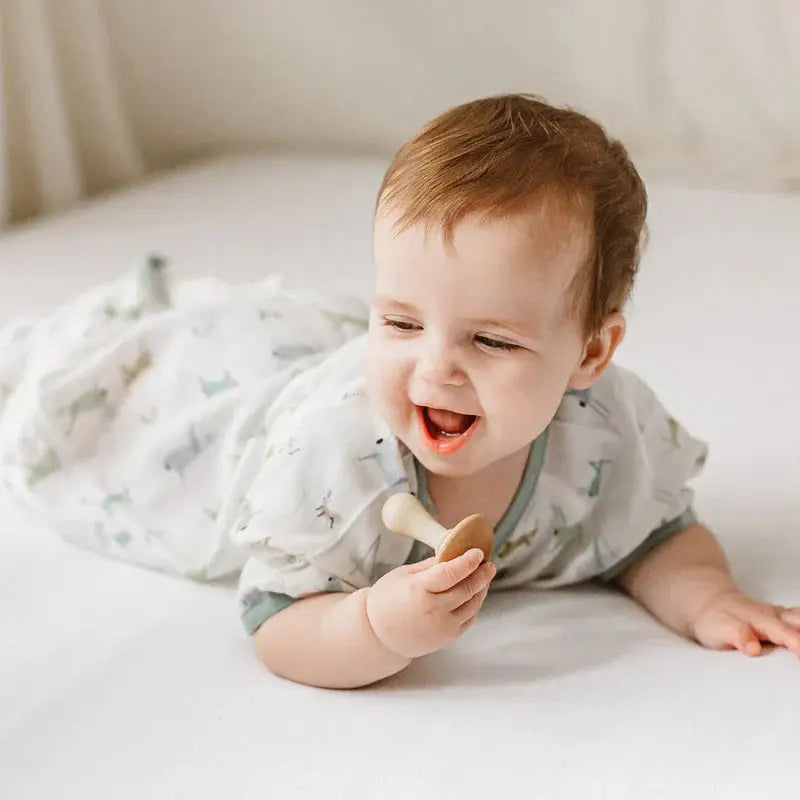 NEST DESIGNS 0.23 TOG BAMBOO SILK SHORT SLEEVE SLEEP BAG THE ANT & THE GRASSHOPPER - baby enRoute