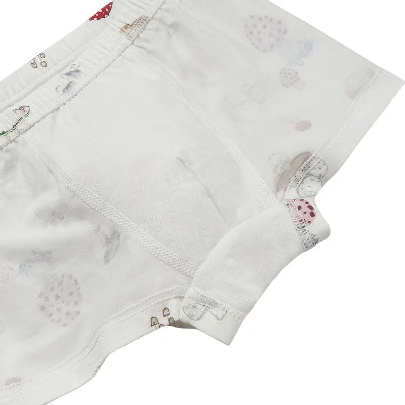 Nest Designs Bamboo Boys Boxer Briefs Underwear (2 Pack) Meadow Mystery