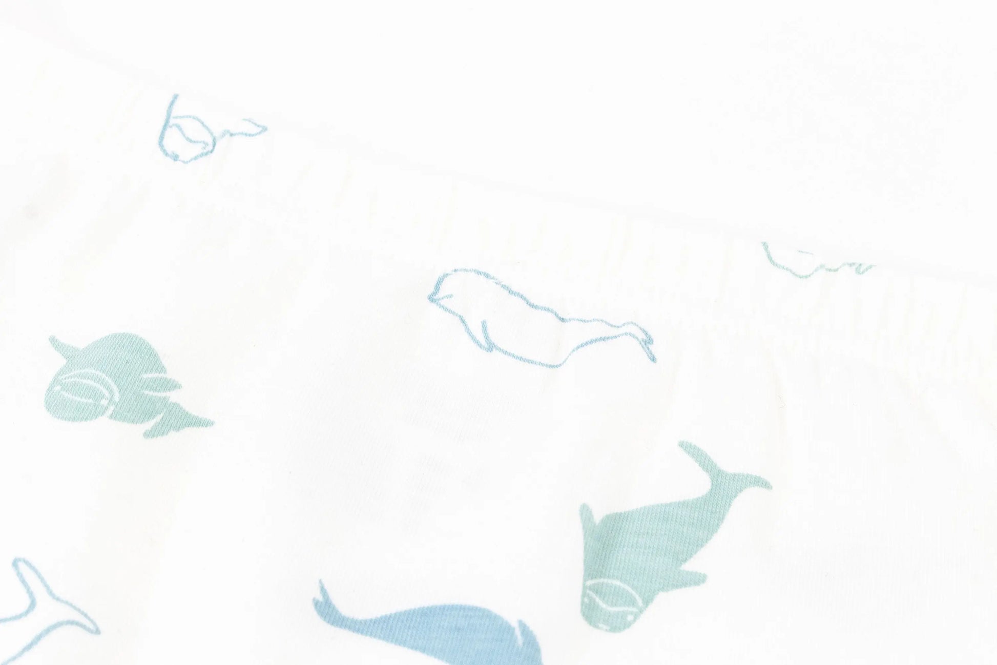 Nest Designs Bamboo Girls Boy Short Underwear (2 Pack) Belugas