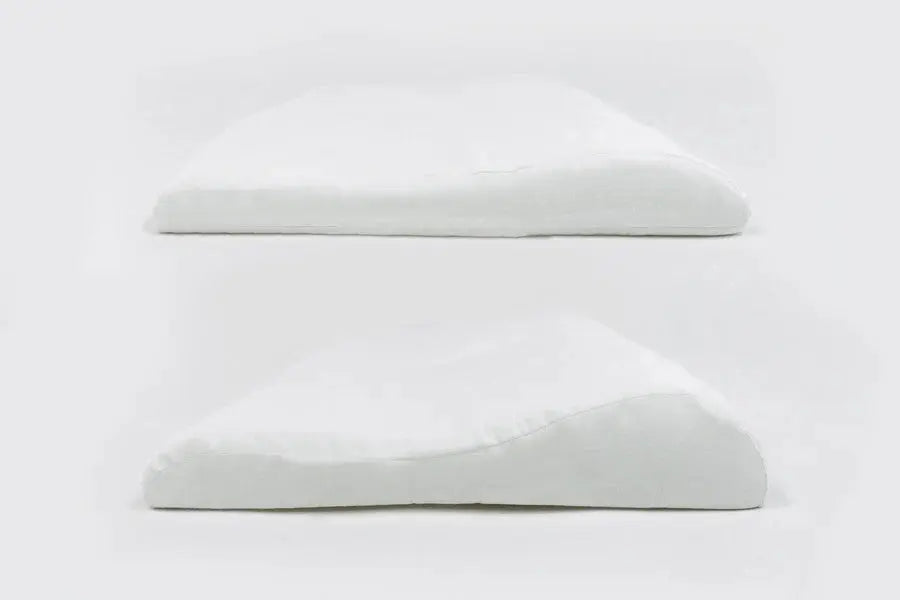 NEST DESIGNS BAMBOO JERSEY TODDLER PILLOW AND PILLOWCASE - MEERKATS AWAY - baby enRoute