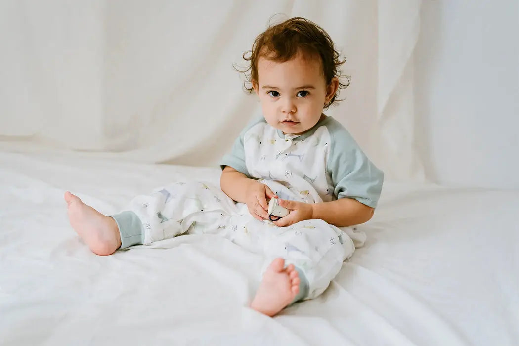 Nest Designs Raglan Bamboo Pima Short Sleeve Sleep Suit 0.6 Tog The Ant & The Grasshopper