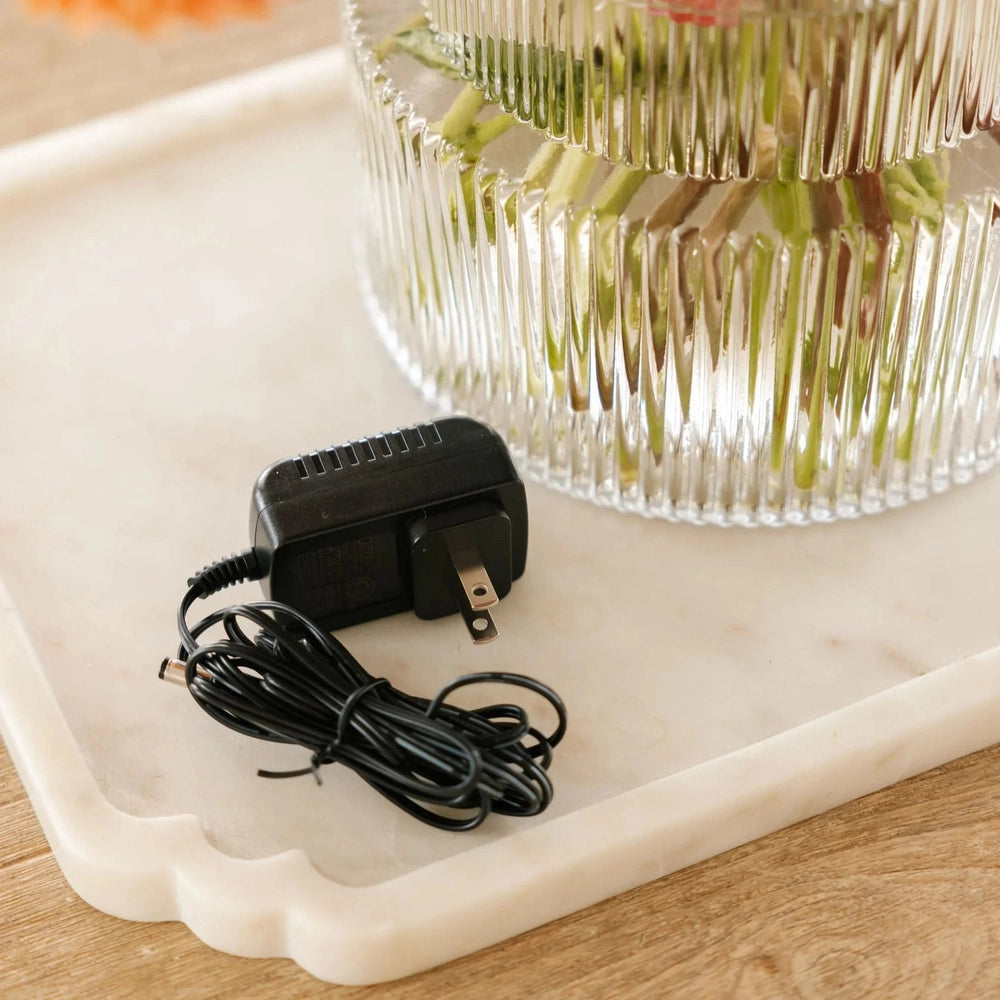 Nellie's Wow Mop Charger