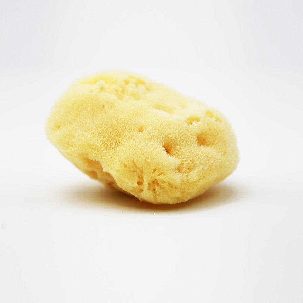 Nemibaby Premium Natural Fina Kids Shower Sea Sponge
