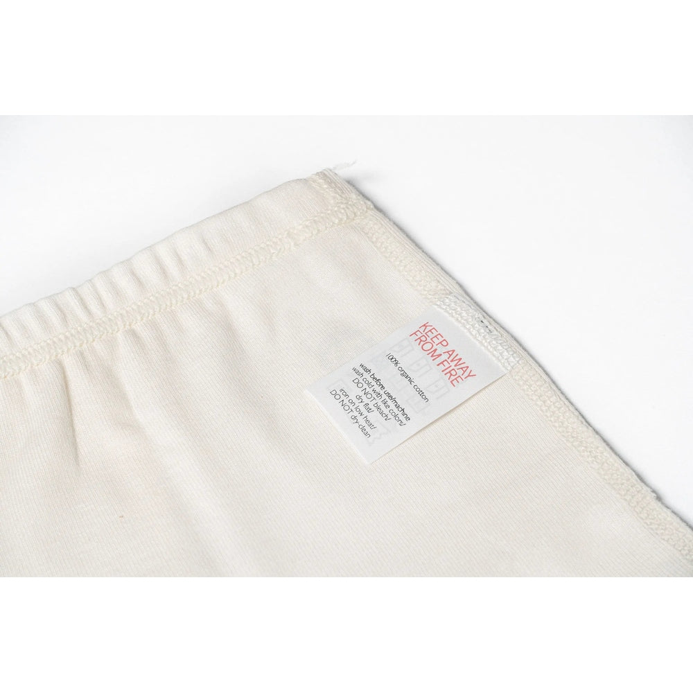 Nest Design Bamboo Boys Boxer Briefs Underwear (2 Pack) Lion & Goose