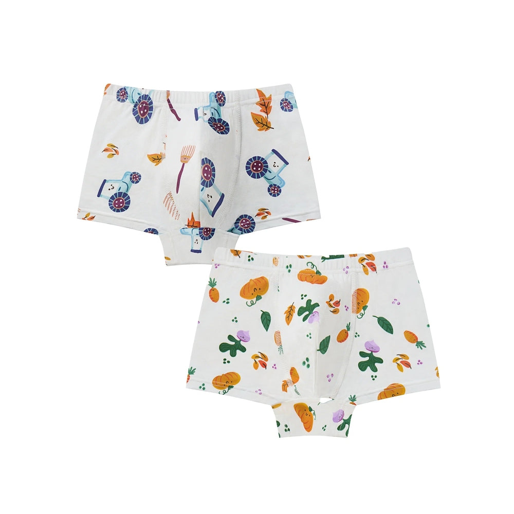Nest Designs bamboo jersey boys boxer briefs 2-pack with harvest time print on white