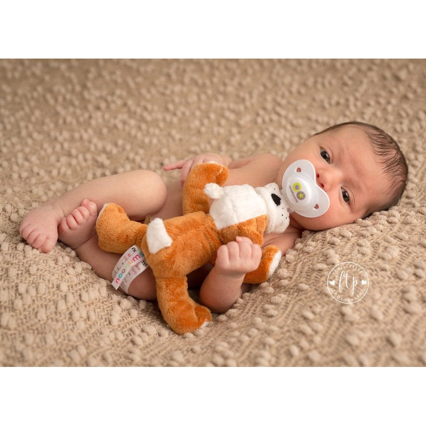 Nookums Paci-Plushies Barkley Bull Dog Shakies: baby lies on beige blanket, cuddling the orange-brown plush dog with a pacifier.