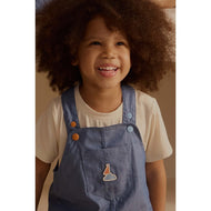 Petite Revery Denim Dress Overalls Sky