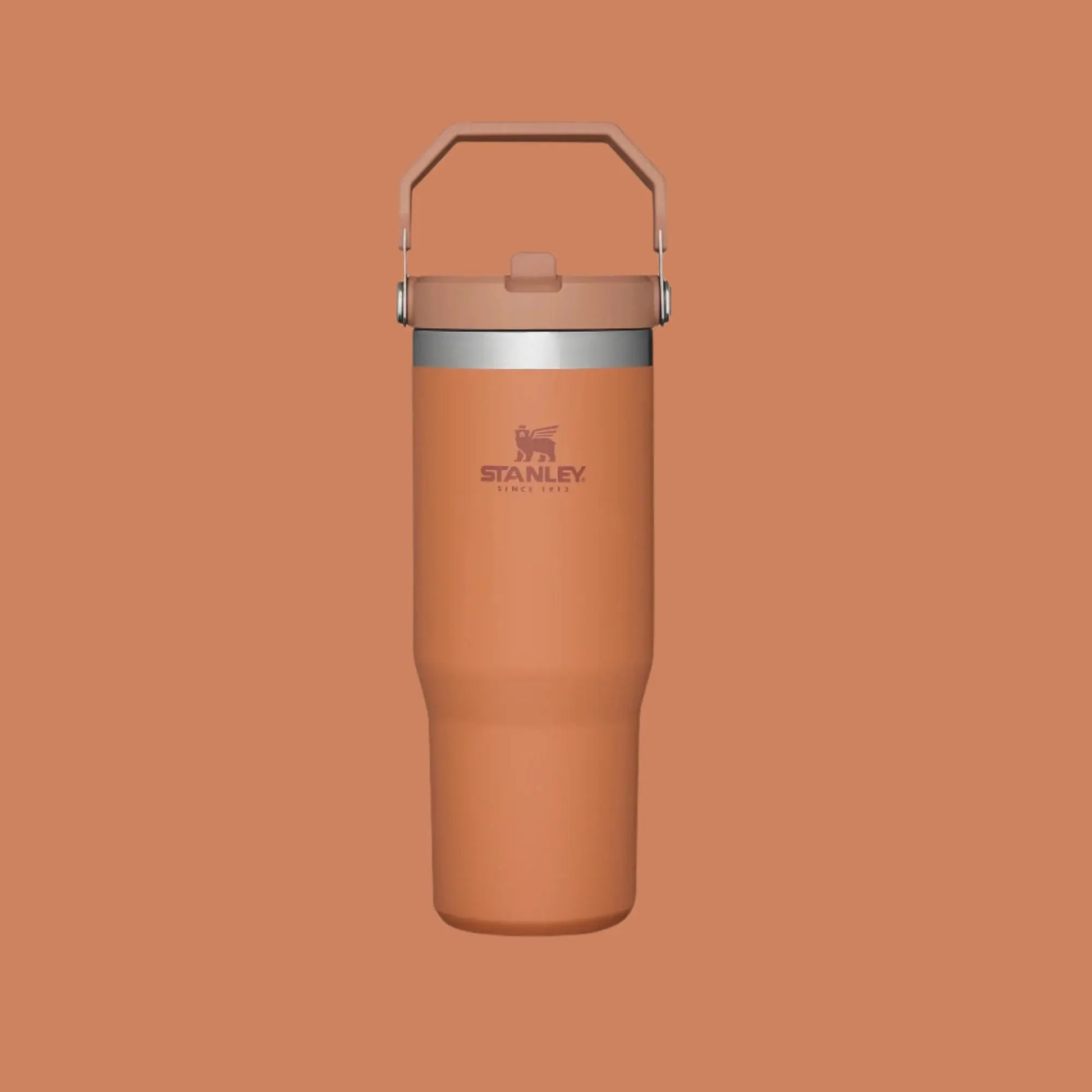 Stanley The Iceflow Flip Straw Tumbler 30 oz