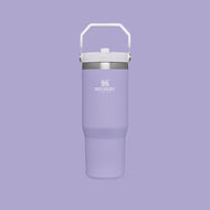 Stanley The Iceflow Flip Straw Tumbler 30 oz