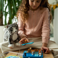 Smart Games Cats & Boxes
