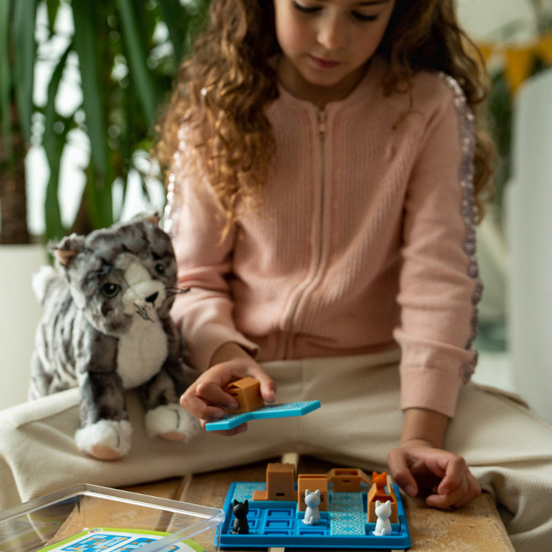 Smart Games Cats & Boxes