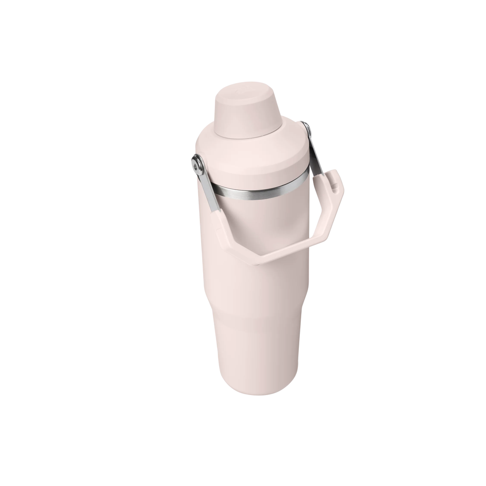 Stanley The Iceflow Tumbler With Fast Flow Lid 20 oz