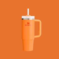 Stanley The Quencher H2.0 Flowstate Tumbler 30 oz