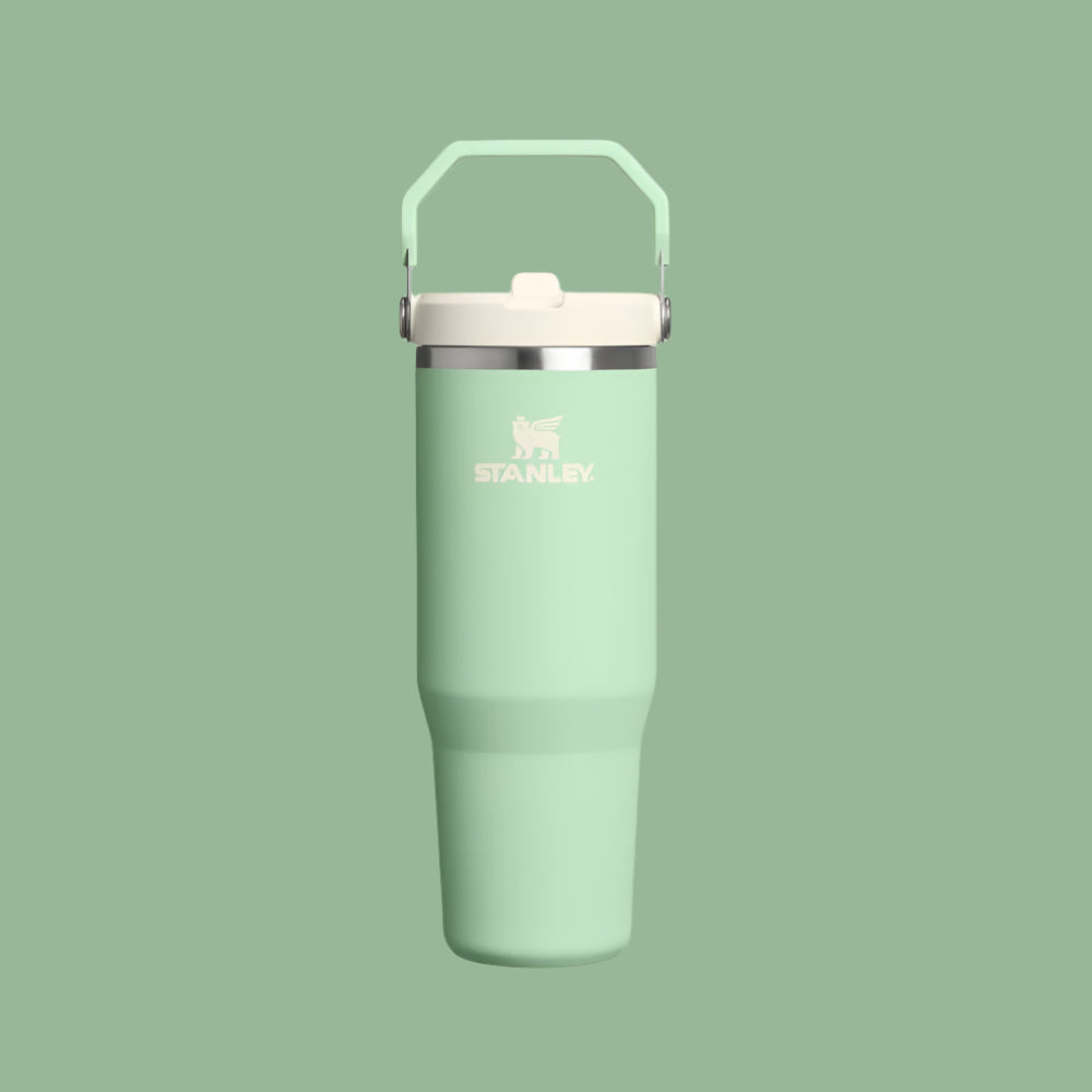 STANLEY THE ICEFLOW FLIP STRAW 2.0 TUMBLER 30 OZ 
