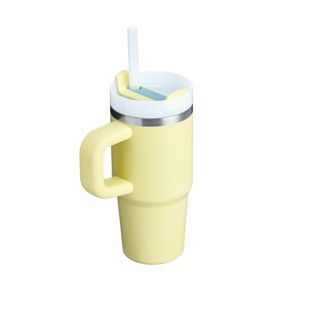 Stanley The Quencher H2.0 Flowstate Tumbler With Handle 20 oz