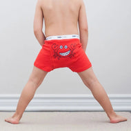 Zoocchini Boys Organic Boxer 3Pk Chompy Chompers