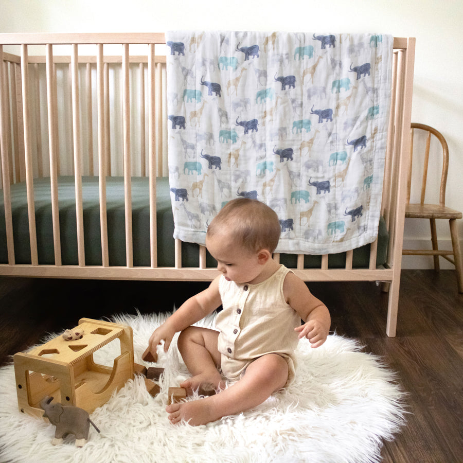 Aden+Anais Silky Soft Dream Blanket Expedition Elephants Giraffes