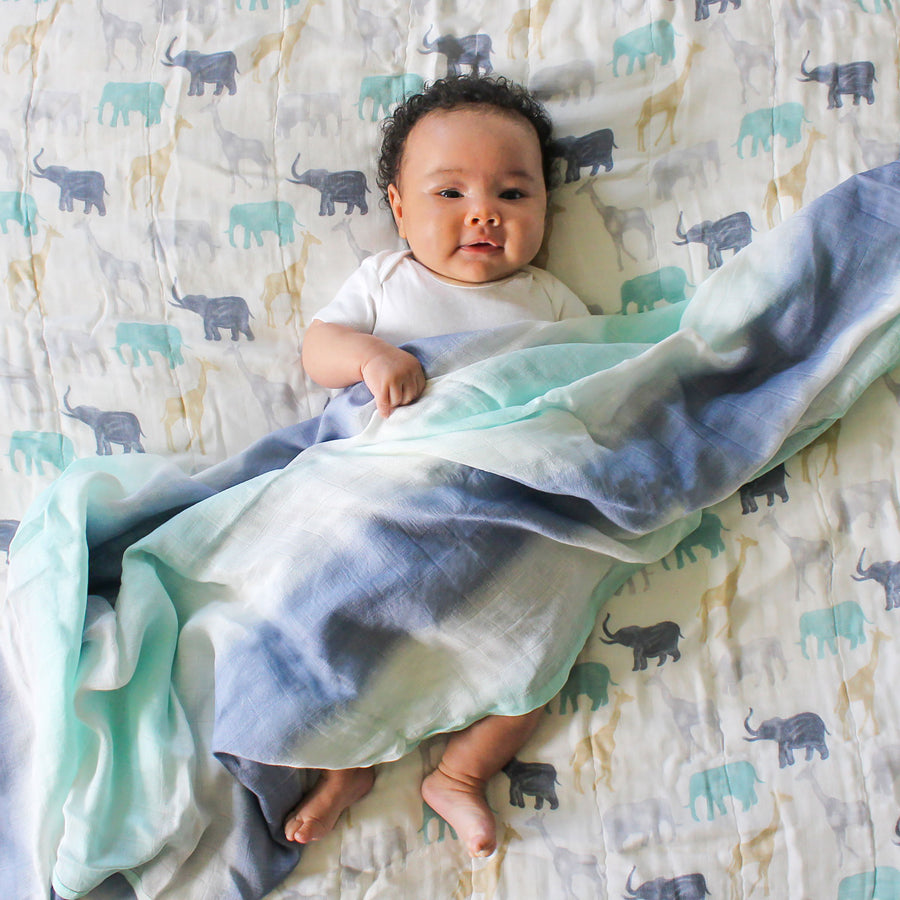 Aden+Anais silky soft dream blanket blue mint gradient