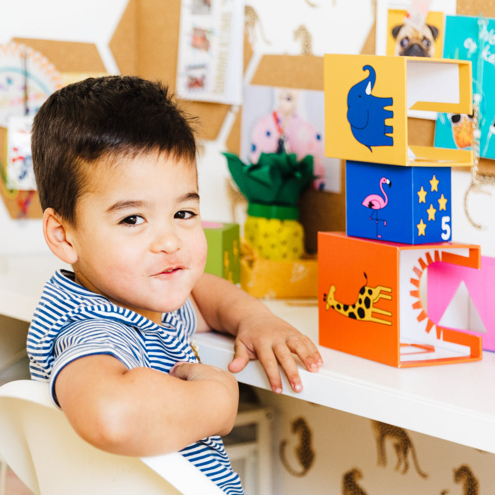 Smart Games Peek-A-Zoo