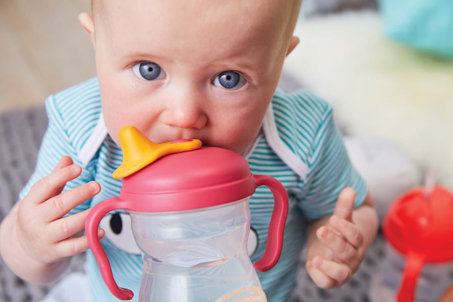 B.BOX SPOUT CUP - baby enRoute