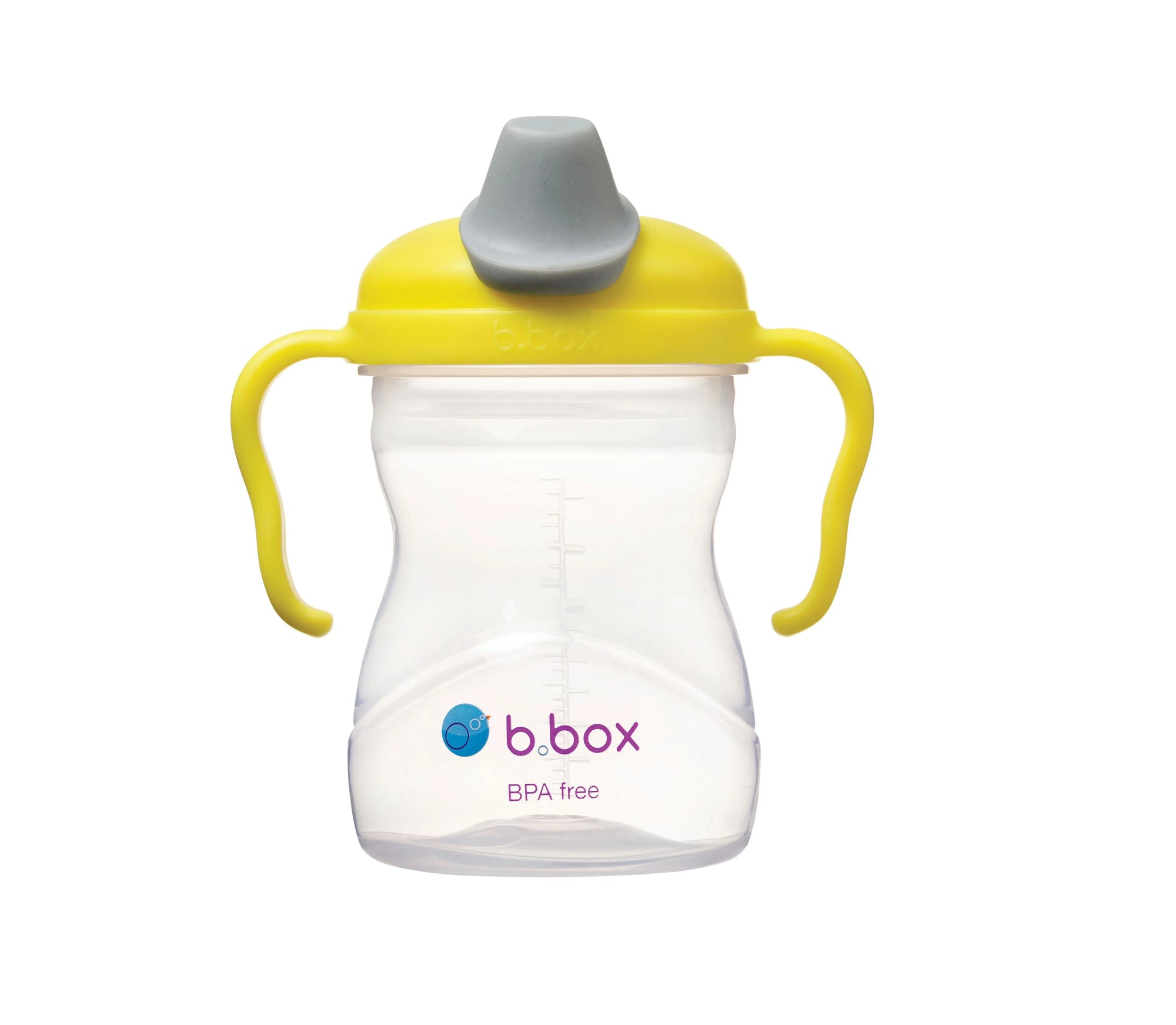 B.Box Spout Cup