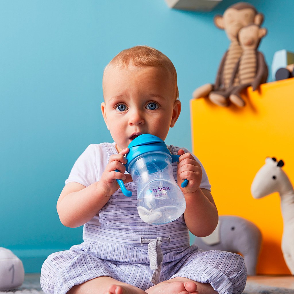B.BOX NEW SIPPY CUP MATTE EDITION - baby enRoute