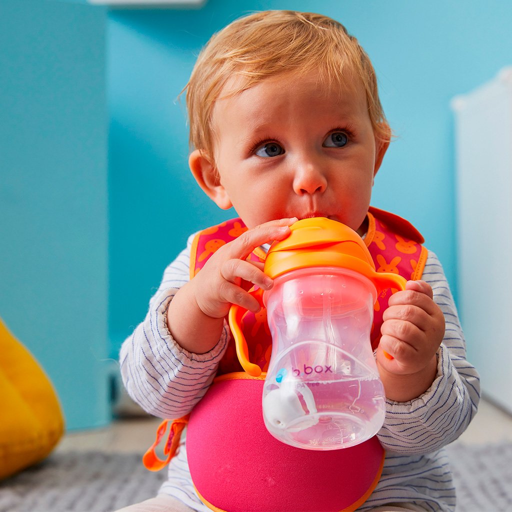 B.BOX NEW SIPPY CUP MATTE EDITION
