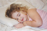 Babyworks Toddler Pillowcase Replacement
