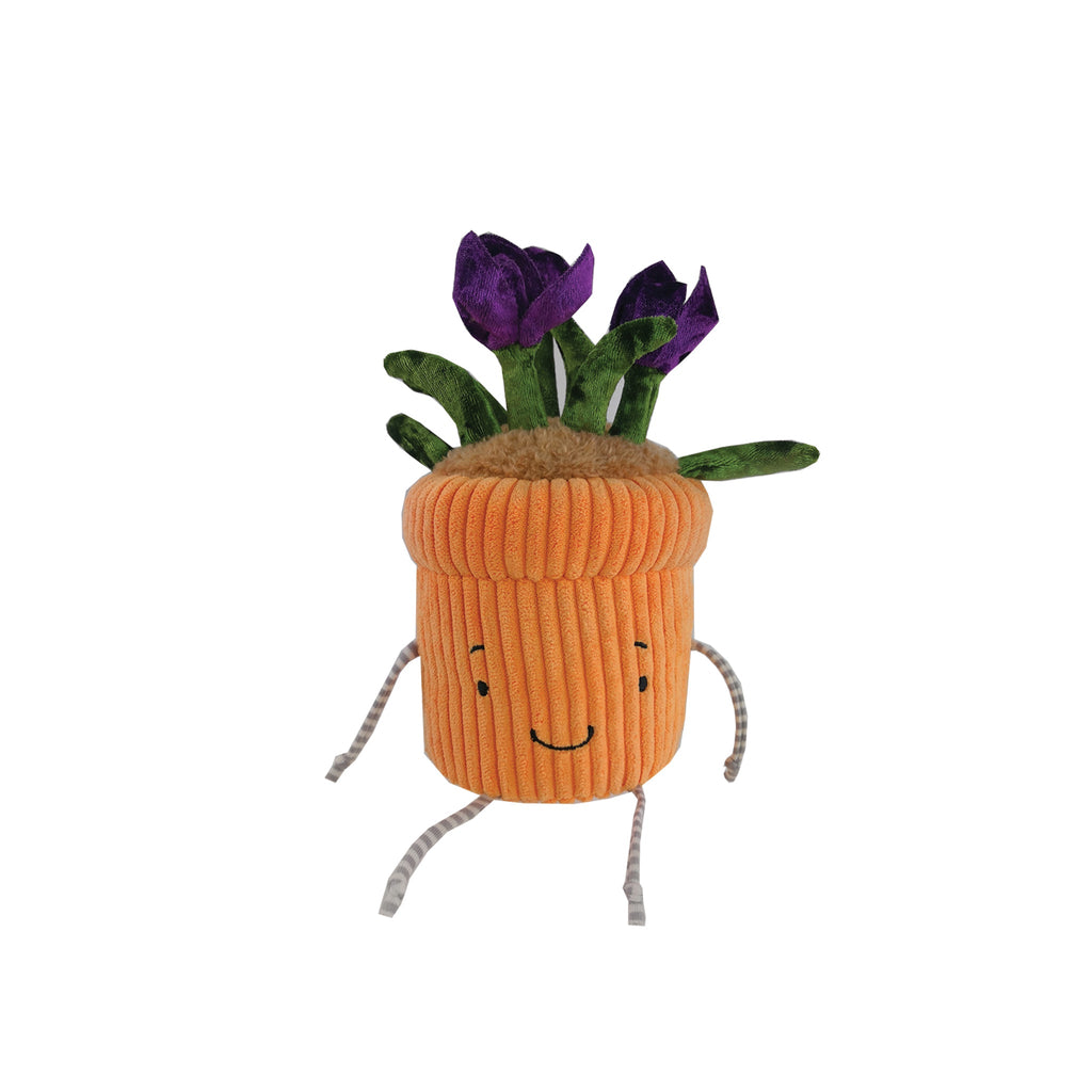 Bunnies By The Bay Window Sill Ies Crocus Plant