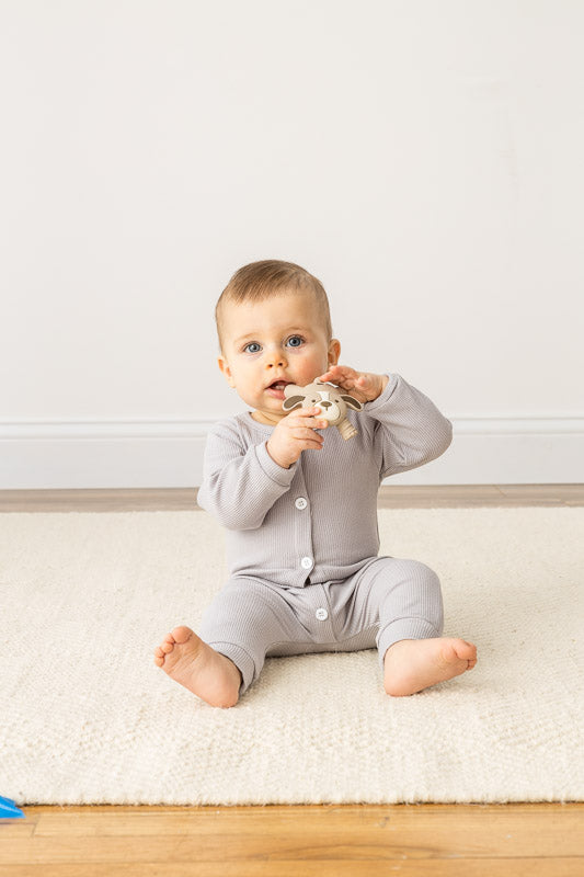 Itzy Ritzy Baby Molar Teether