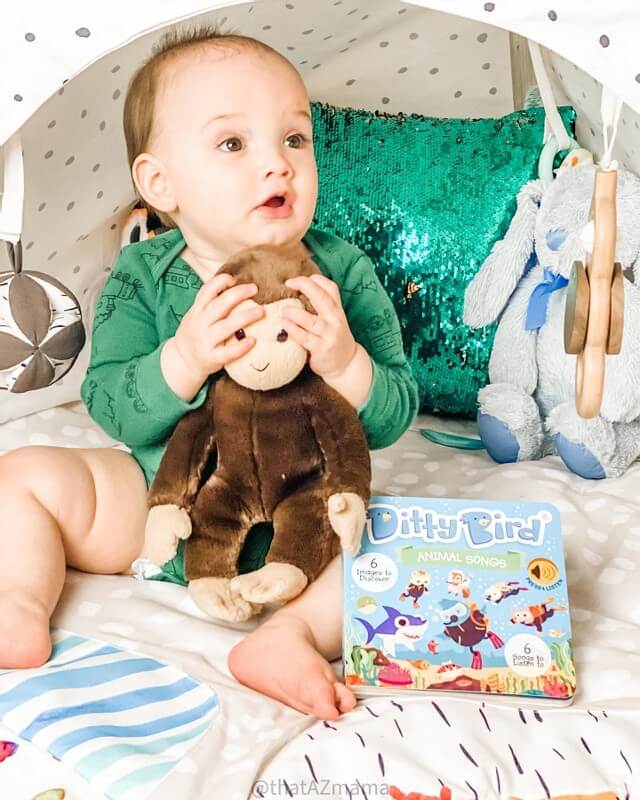 DITTY BIRD SOUND BOOK ANIMAL SONGS - BABY SHARK