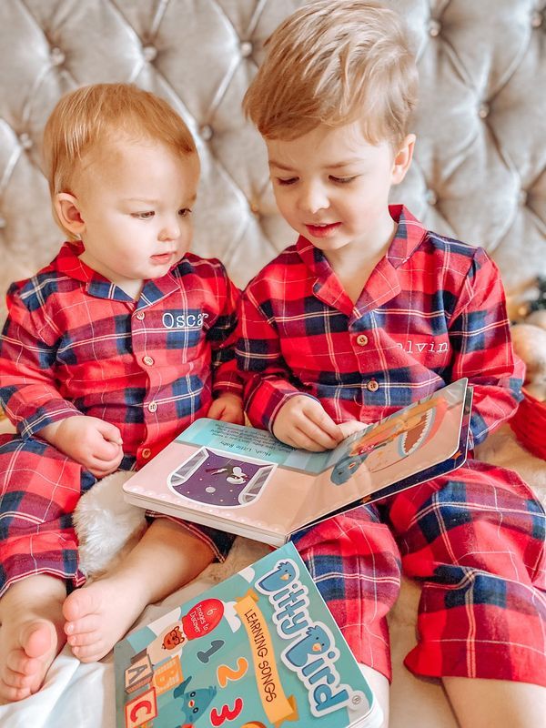 Ditty Bird Sound Book Learning Songs