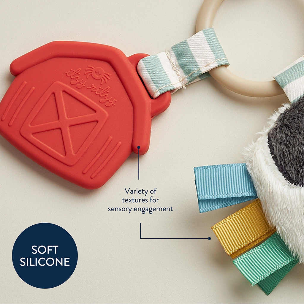 ITZY RITZY PAL PLUSH AND TEETHER