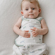 NEST DESIGNS BAMBOO JERSEY SWADDLE SLEEP BAG 0.25 TOG THE ANT & THE GRASSHOPPER 0-6M