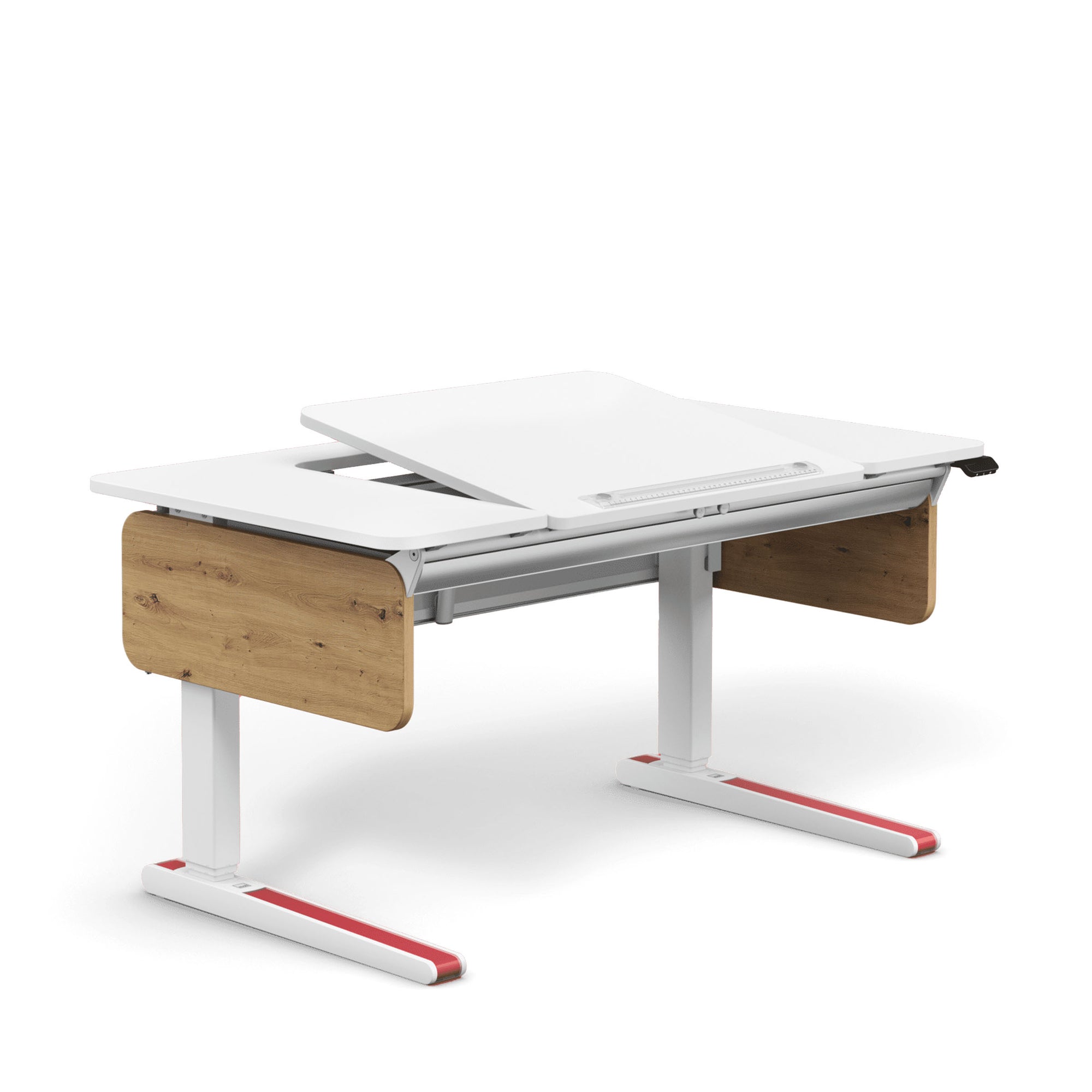 Moll e-Champion Height Adjustable Desk