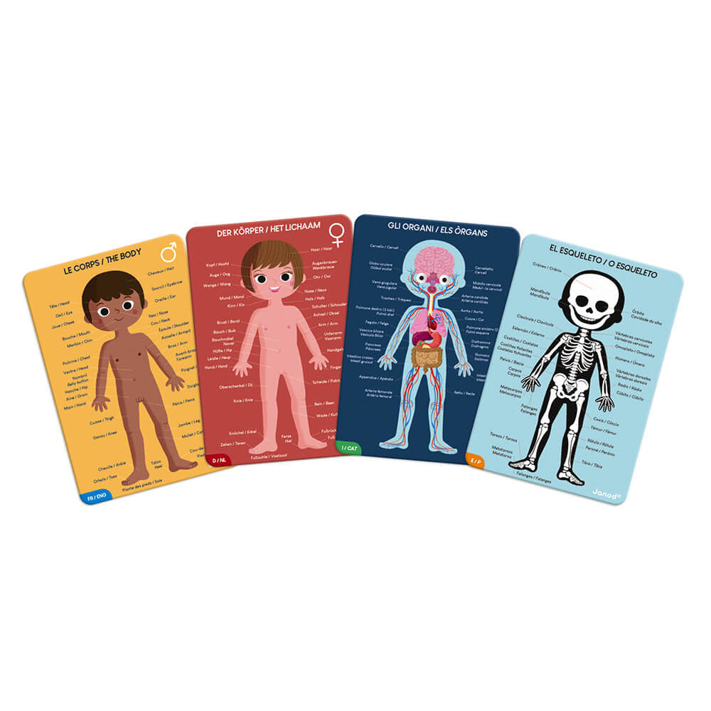 JANOD EDUCATIONAL PUZZLE HUMAN BODY PUZZLE 