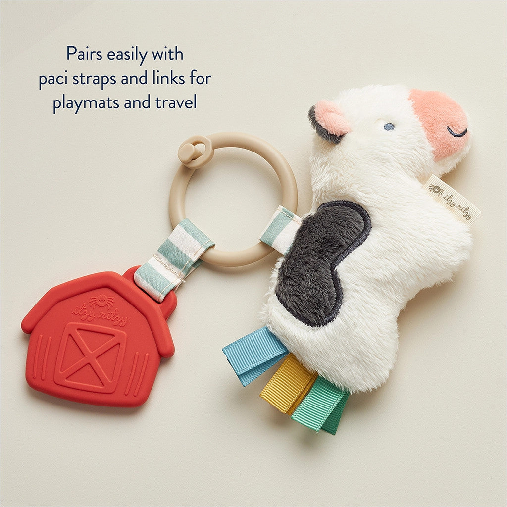 ITZY RITZY PAL PLUSH AND TEETHER