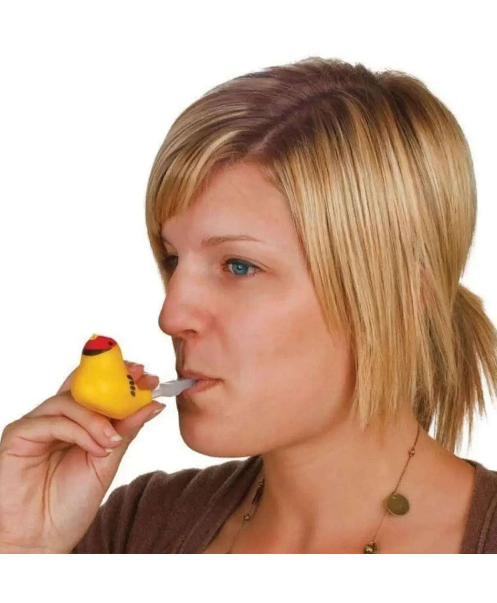 Tobar Water Warbler Musical Toy 1pc