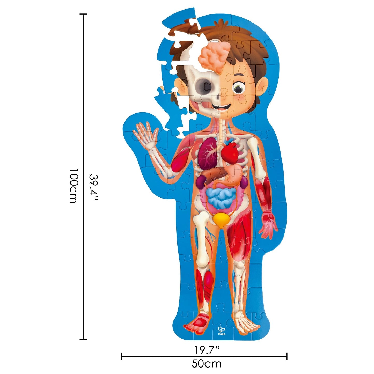 HAPE HUMAN BODY PUZZLE - baby enRoute