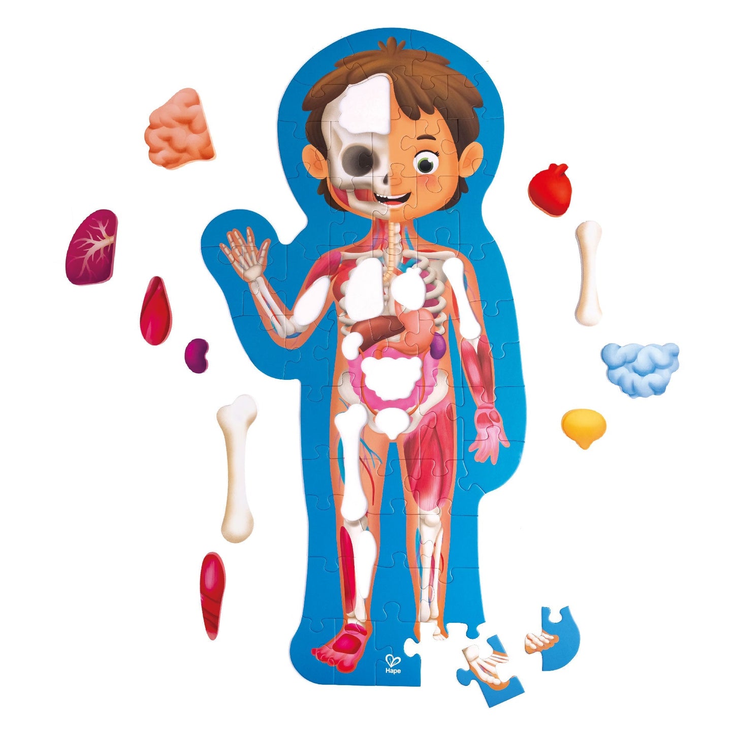 HAPE HUMAN BODY PUZZLE - baby enRoute