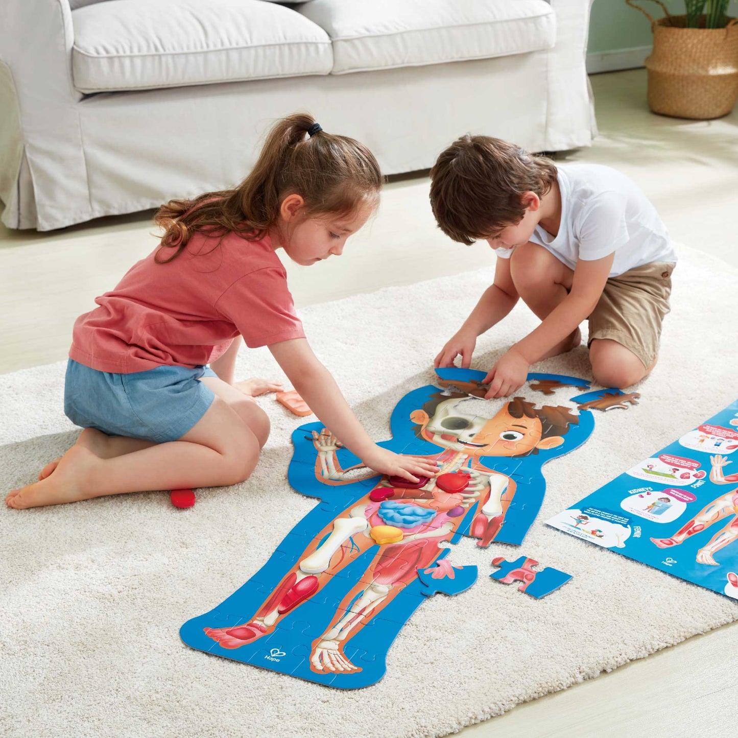 HAPE HUMAN BODY PUZZLE - baby enRoute