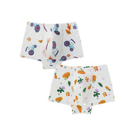 Nest Designs Bamboo Jersey Boys Boxer Briefs Underwear 2 Pack Harvest Time