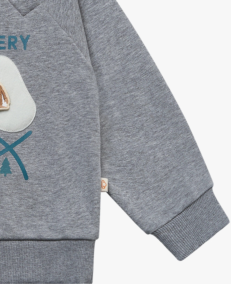 Petite Revery French Terry Raglan Sweatshirt Slate Gray